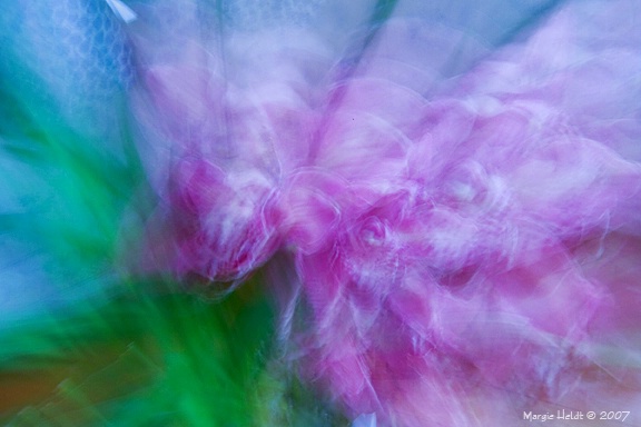Orchid Abstract