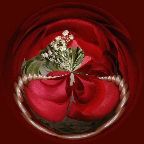 Roses and beads Photoball