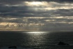 The Light