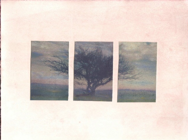 Tree triptych