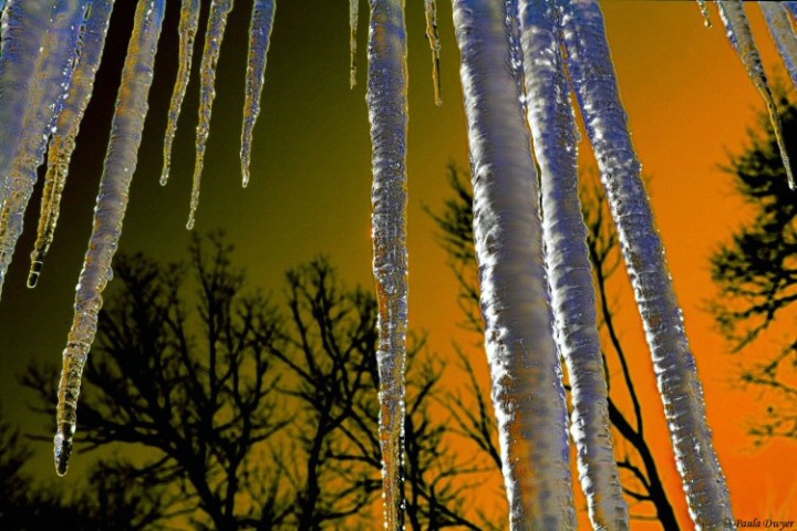 Icicle Farm