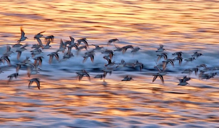 In Flight