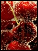 <b>Cherry Sparkle...