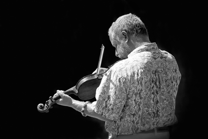 The Violinist - ID: 3425546 © Mary-Ella Bowles