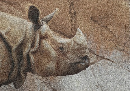rhino san diego