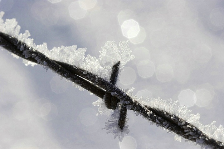 Wyoming Winter - ID: 3428051 © Vicki Tillard