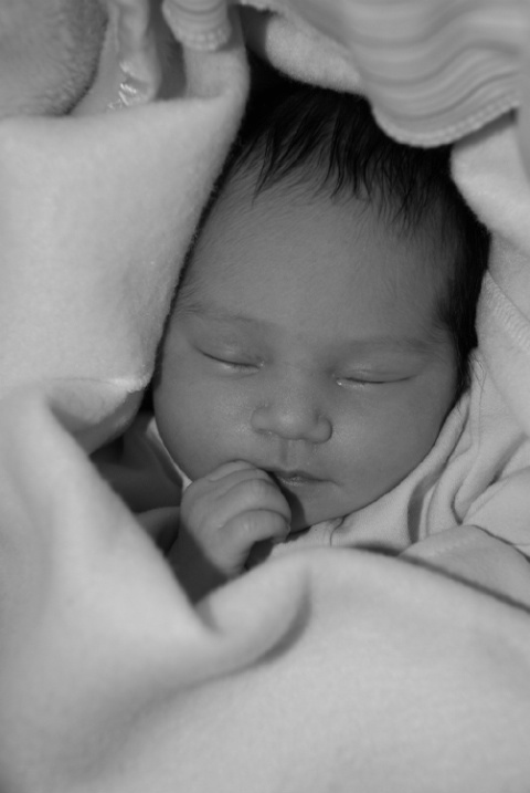 Sophia is here
