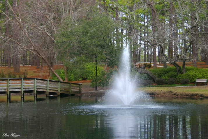 Fountain at the Lake