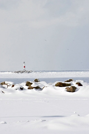 Lake Erie in Winter