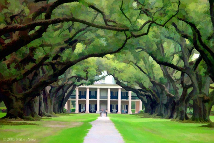 Colonial Relic, Oak Alley Plantation, New Orleans - ID: 3443149 © Mike D. Perez