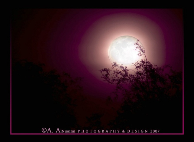 PinkyPink Moon Light