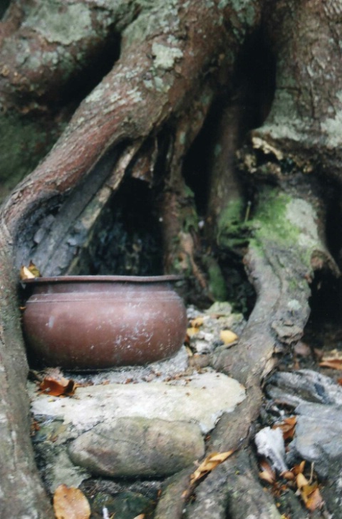 Shrine in the Woods, Nago, Okinawa