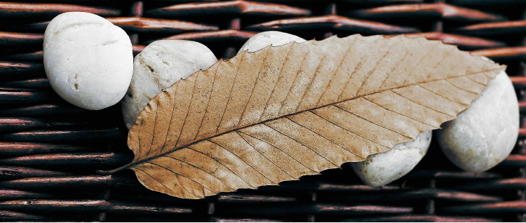 a leaf on five stones