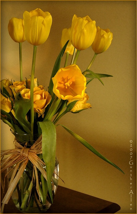Yellow Tulips and Roses