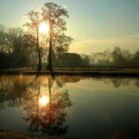 Cool mid-morning 