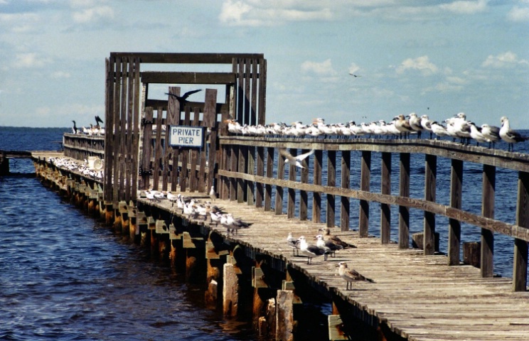 Private Pier