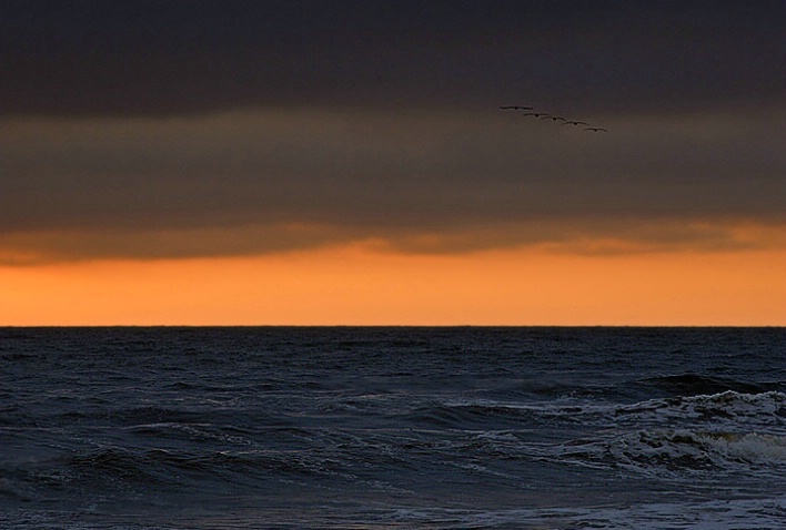 California - Moss Landing Beach (#5418)