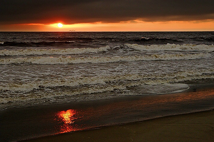 California - Moss Landing Beach (#5448)