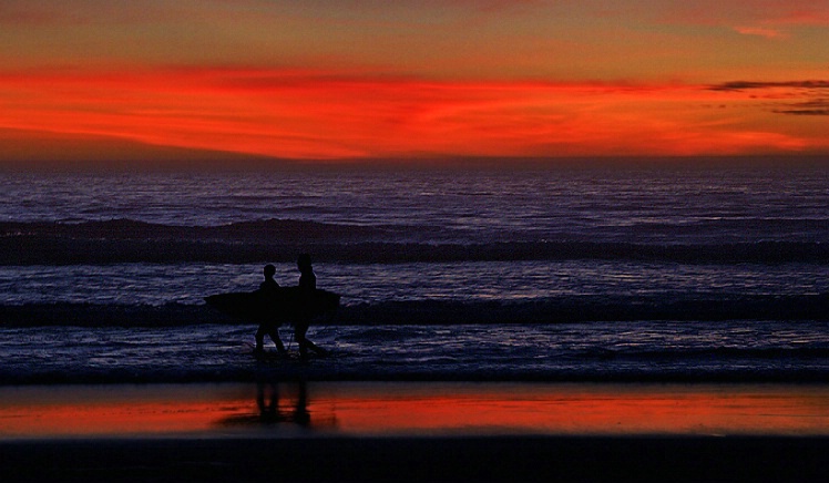 California - Manresa State Beach (#6677)