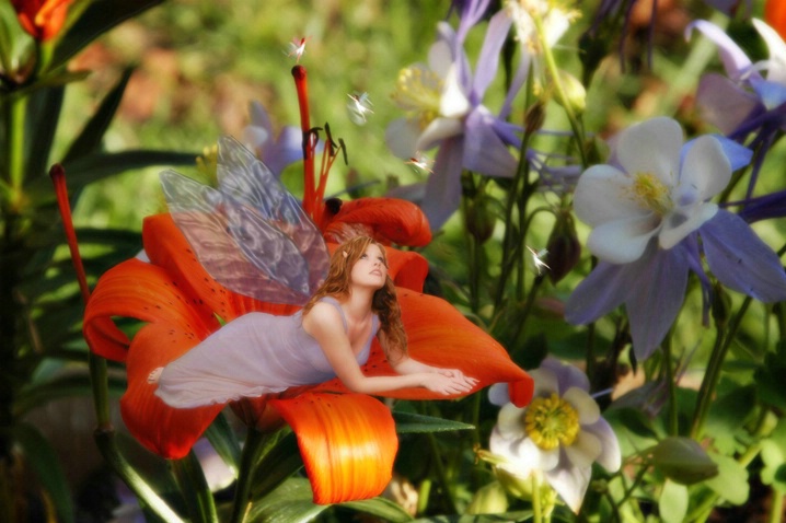 Tiger Lilly Faerie