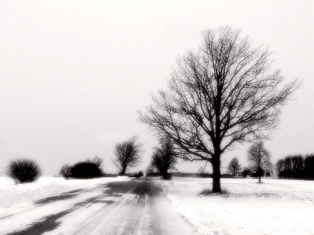 Winters road