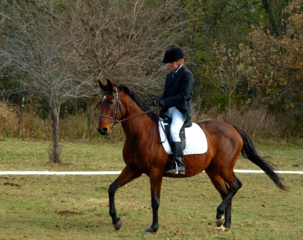 Dressage Finale