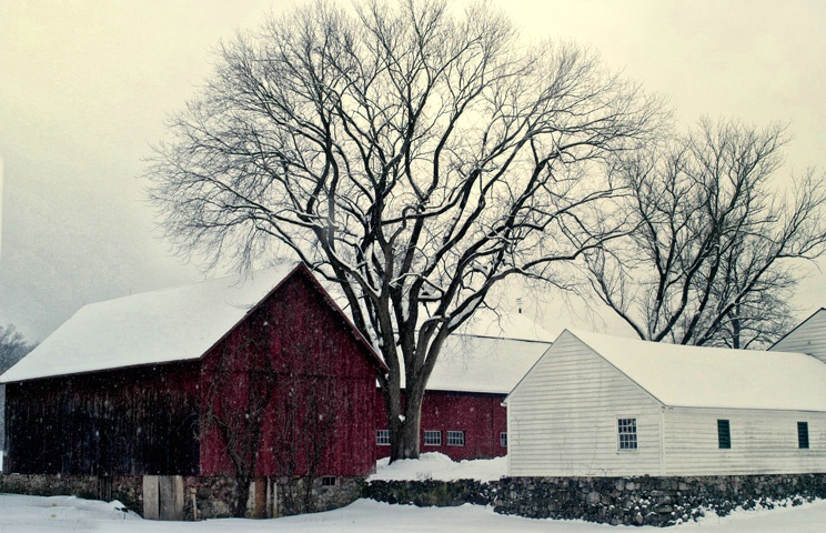 New England Barn