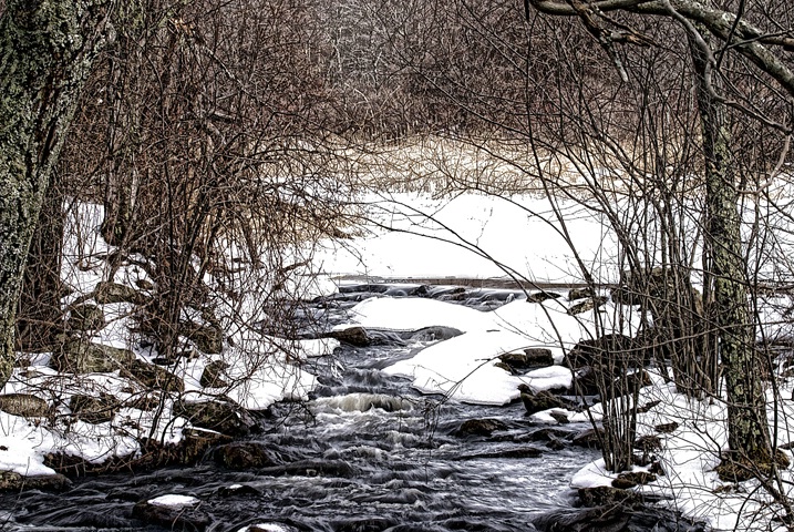 Hidden Stream in Winter - ID: 3491923 © Laurie Daily