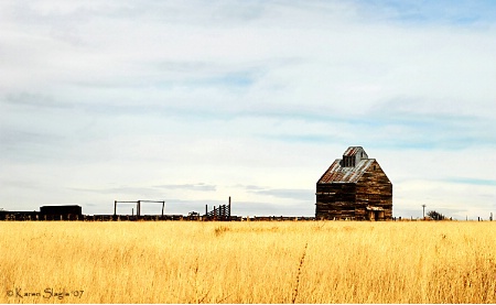 Texas Prairie