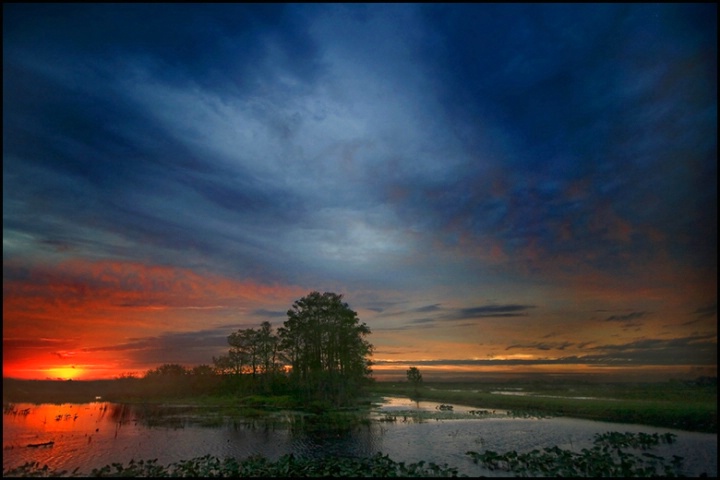 Colors Over Swamps