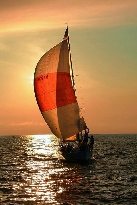 Sunset Sailing - ID: 3500382 © Ron Livingston
