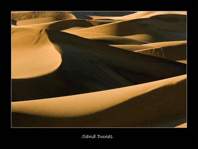 Patterns of the Dunes