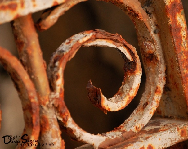 Rusty Curl