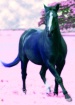 Dream Horse