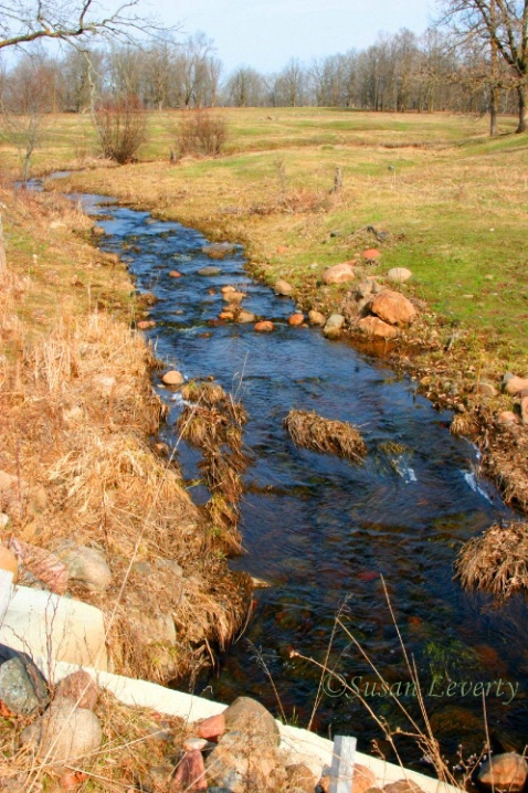 Creek running in the pasture Vertical