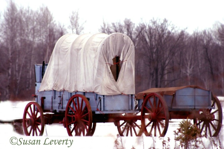 Covered wagon, with trailer 