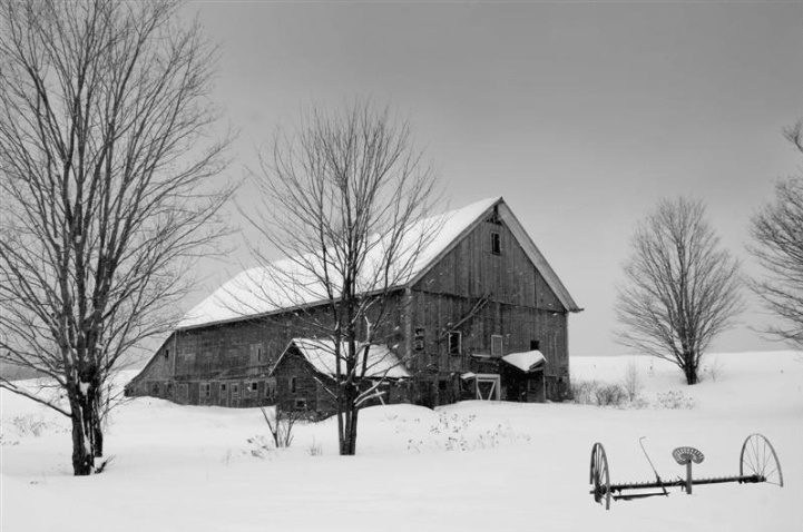 Old Vermont Barn - ID: 3527058 © BARBARA TURNER