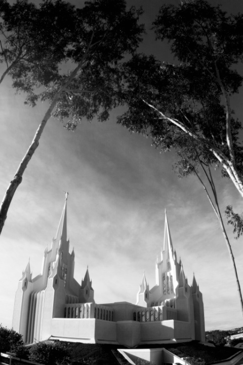 Trees framing the Temple (B&W)