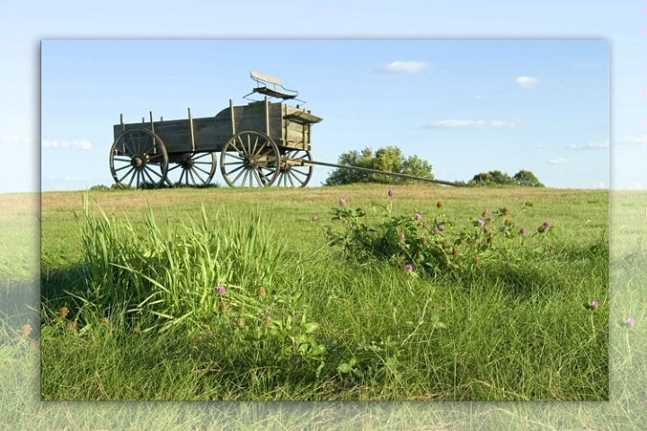 Summer on the Farm - ID: 3530422 © Mary-Ella Bowles