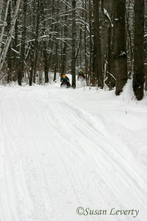 snowmobile trail with sleds from behind #2