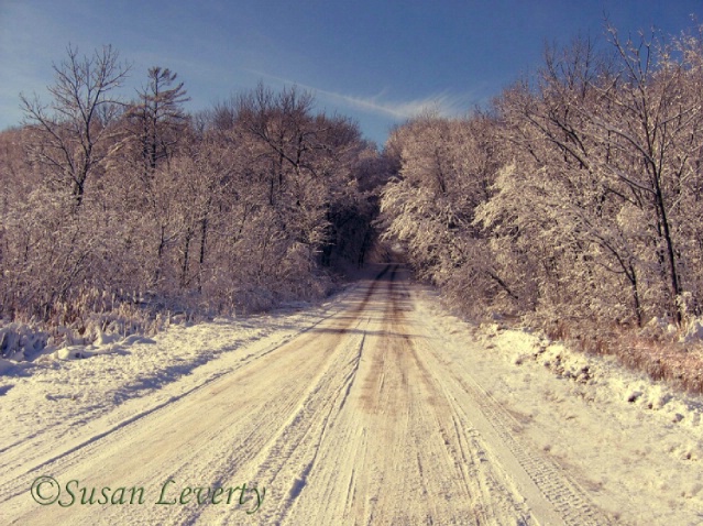Snowy Road Frosty