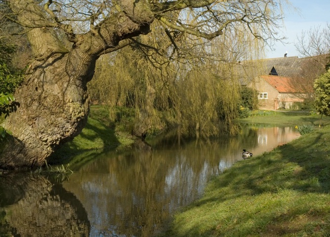 The Ditch in Spring