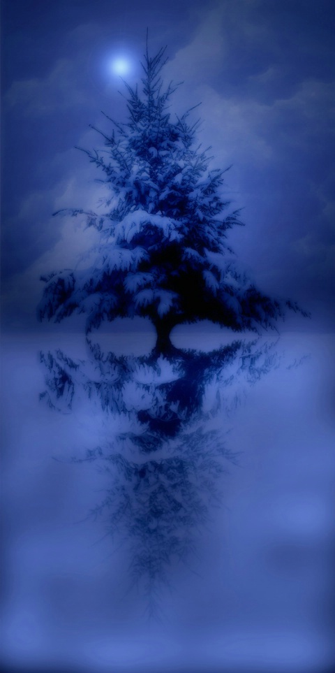 WinterTree