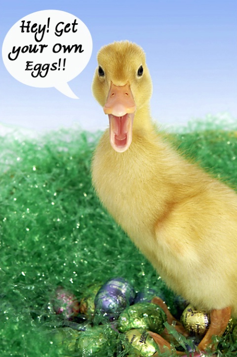 HEY!!! Get your Own Eggs!!