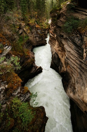 Athabasca Falls