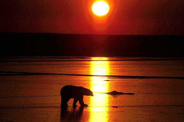 arctic sunset