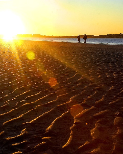 Strolling Sunset