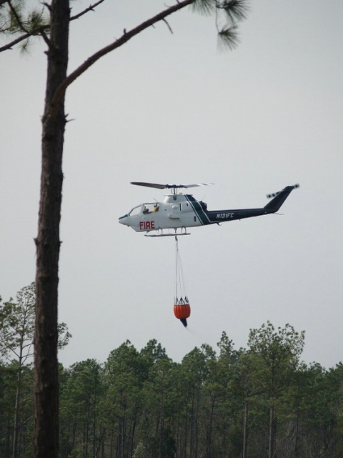 division of forestry - ID: 3544326 © Lynne Hough