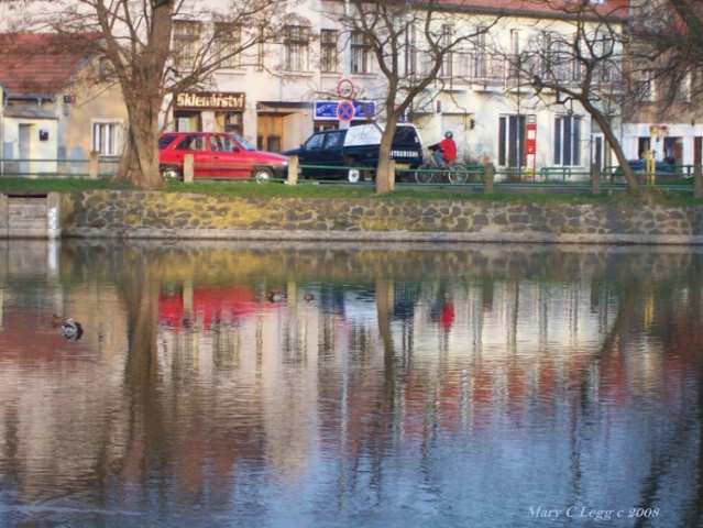 the village pond