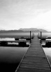 Morning on the Do...